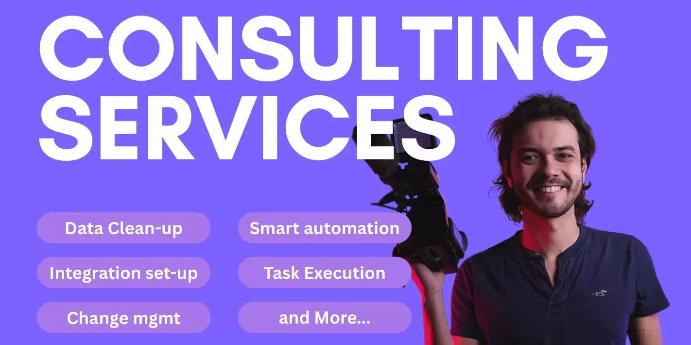 Consulting Services