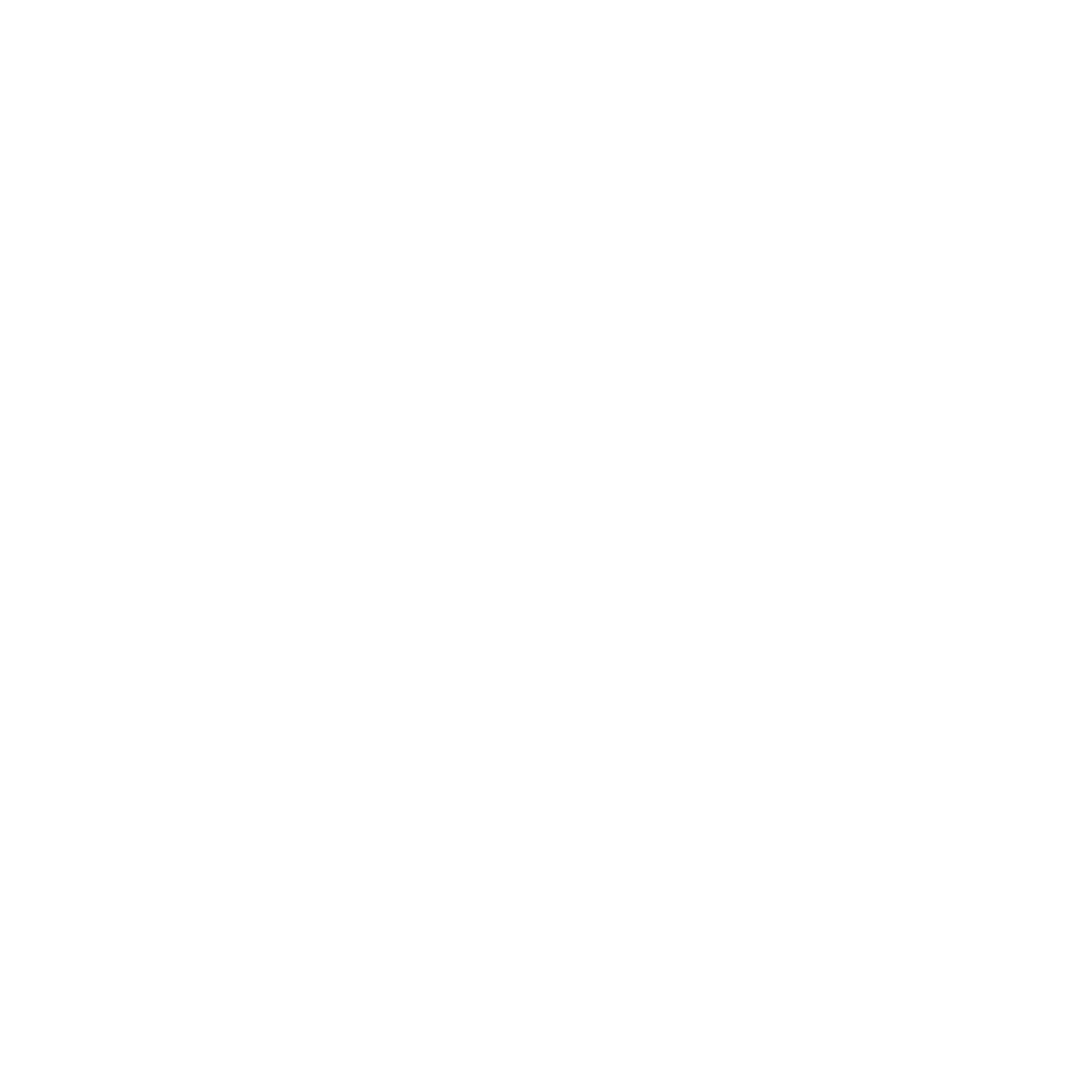 Education Texas Southern University White 02