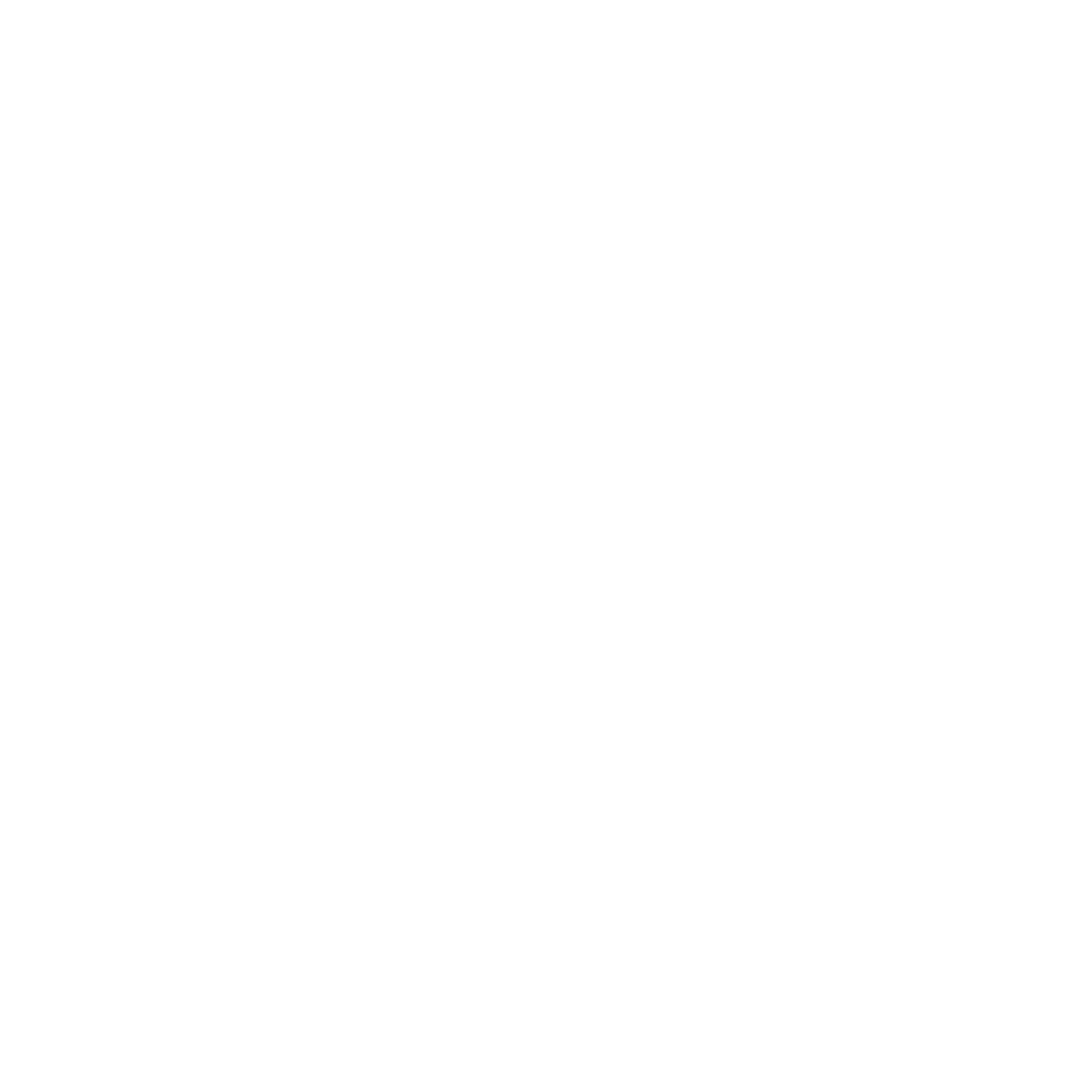 Sports NRS White